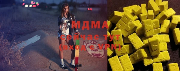 гидра Богданович